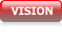 VISION